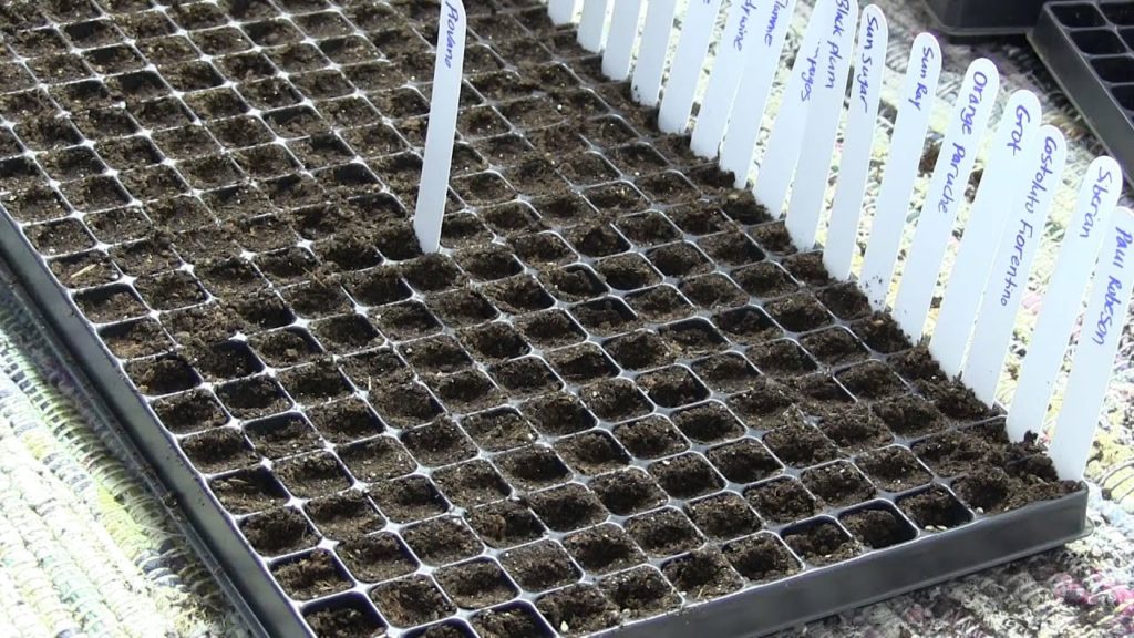 MIgardener: FINALLY Starting Seeds For This Year's Garden! FINALLY Starting Seeds For This Year's Garden!