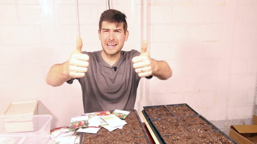 Tips to Speed Up Germination and Sprout Finicky Seeds