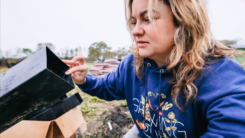 This is NUTS! (Also, I've always wanted to grow this!) | VLOG