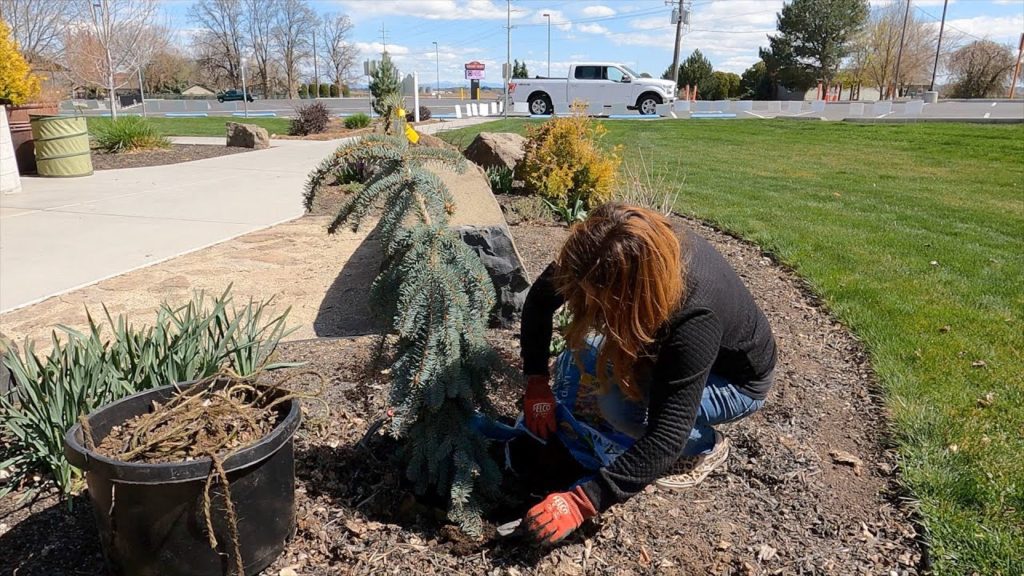 Garden Answer: Maintaining the Flower Beds & Planting Up New Pots at Our Church! 🌿✂️🥰 // Garden Answer Maintaining the Flower Beds & Planting Up New Pots at Our Church! 🌿✂️🥰 // Garden Answer
