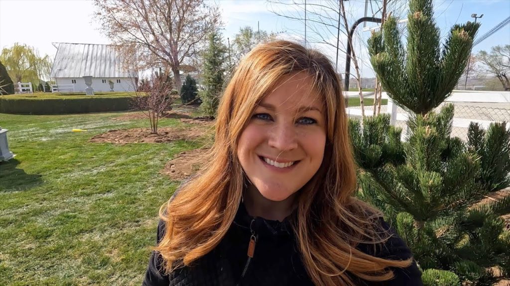 Tree Planting Day 2: Planting a Deciduous & Evergreen Border/Screen! 🌳🌲🌳🌲🌳