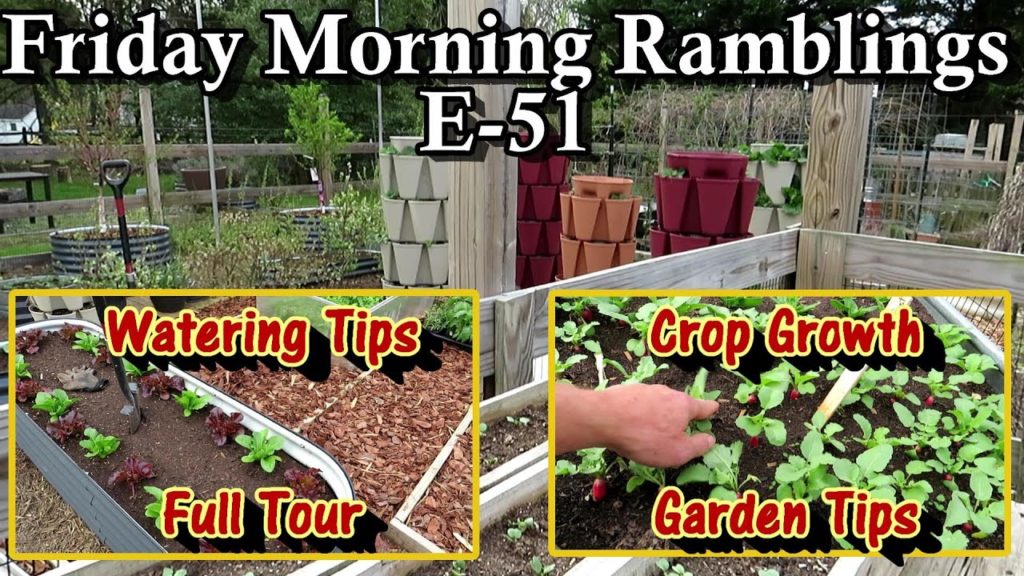 Gary Pilarchik: Weeded! A Tour of My Main & Side Gardens & My Mushroom & Compost Areas: FM Gardening Ramblings E-51 Weeded! A Tour of My Main & Side Gardens & My Mushroom & Compost Areas: FM Gardening Ramblings E-51