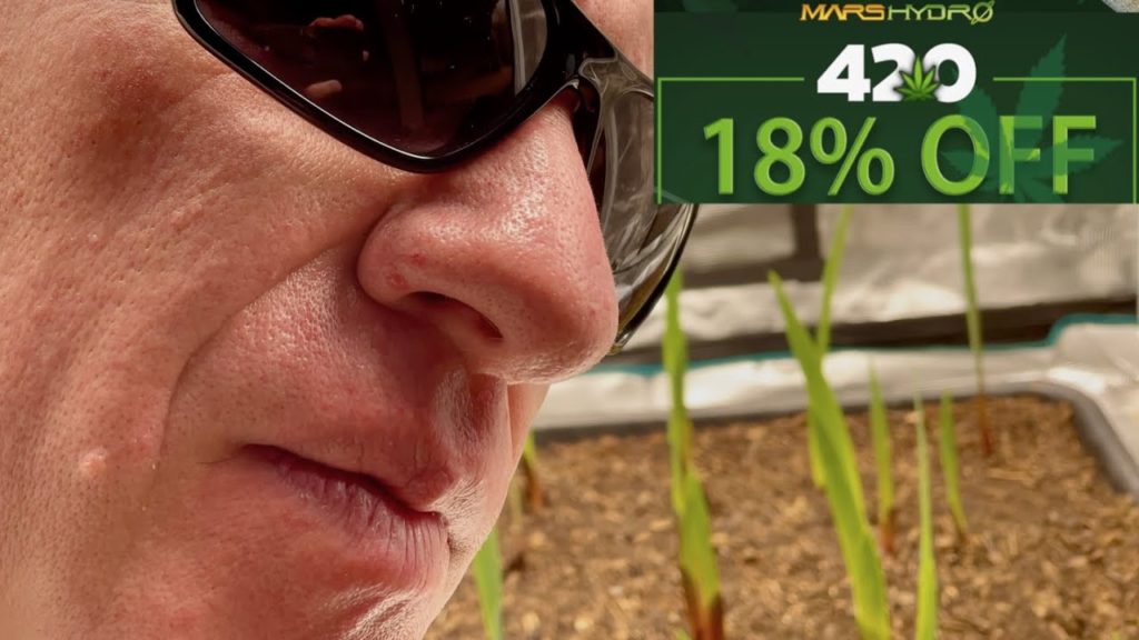 Jeb Gardener: Mystical Flower Grows for 420 Mars Hydro LED Extravaganza! Mystical Flower Grows for 420 Mars Hydro LED Extravaganza!