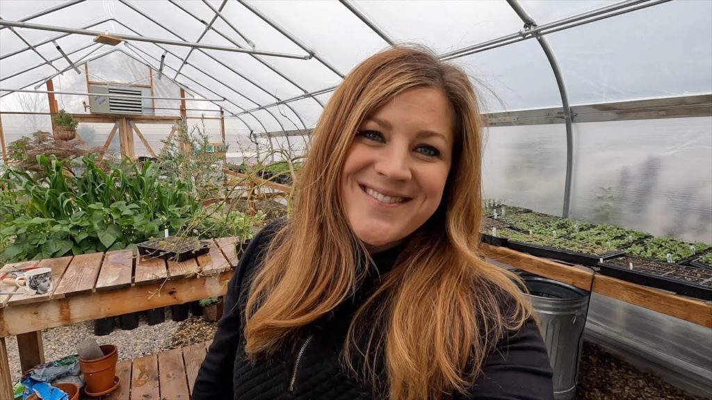 Garden Answer: Seedlings: Tour, Thinning, Separating, Potting Up & Fertilizing! 🌿🌿🌿 // Garden Answer Seedlings: Tour, Thinning, Separating, Potting Up & Fertilizing! 🌿🌿🌿 // Garden Answer