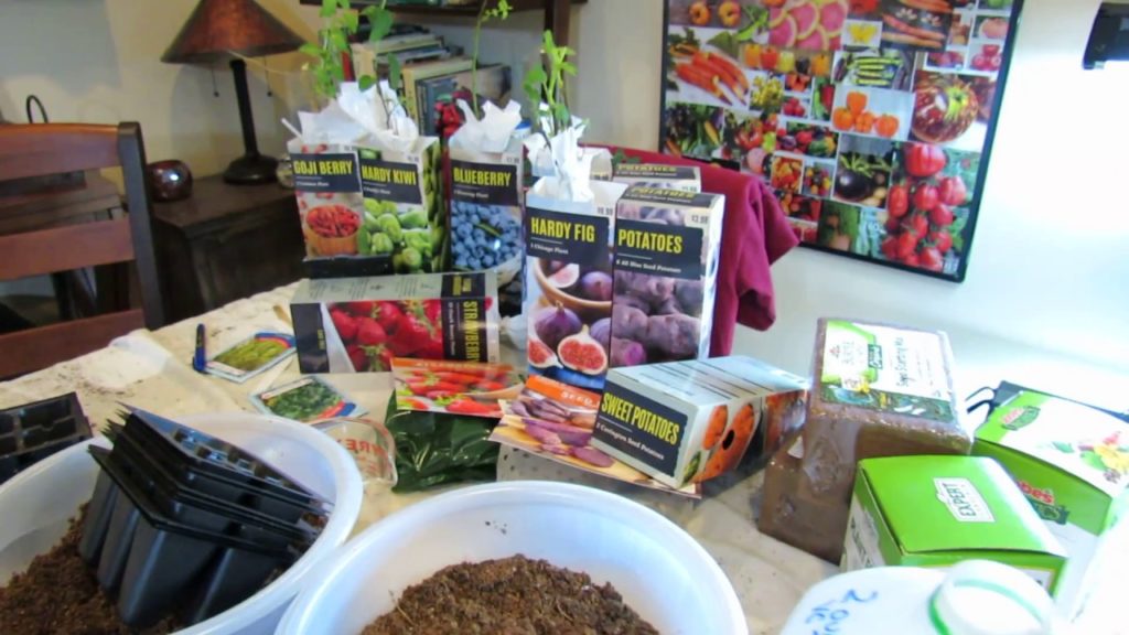 Gary Pilarchik: Vegetable Garden Tour & Tips 2/22/18: Herb Progress, Pepper Germination, Growing Greens, Acclimation Vegetable Garden Tour & Tips 2/22/18: Herb Progress, Pepper Germination, Growing Greens, Acclimation