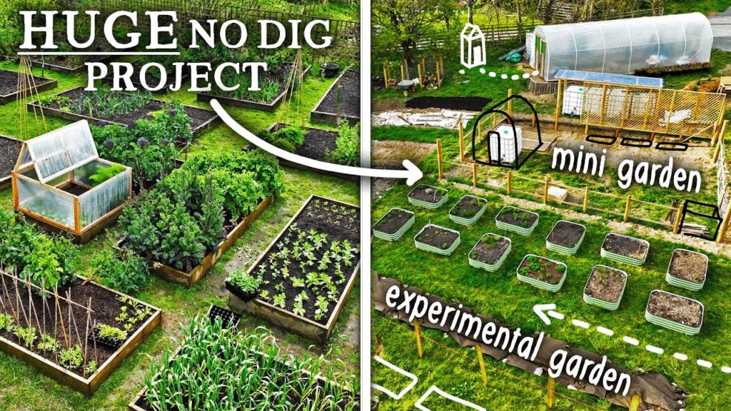 How I Plan to Improve No Dig Gardening