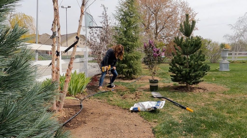 Garden Answer: Planting a Pineapple, Crabapple & Lilac + New Obelisks for the Raised Beds! ๐๐๐ฟ // Garden Answer Planting a Pineapple, Crabapple & Lilac + New Obelisks for the Raised Beds! ๐๐๐ฟ // Garden Answer