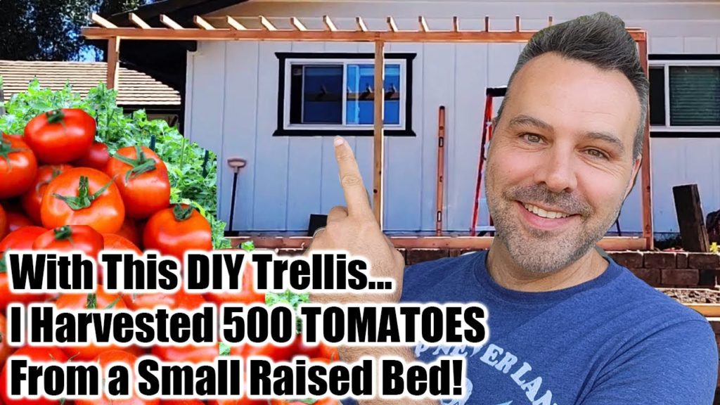 Grow Way More Tomatoes In Less Space! - Best Way to Trellis Tomatoes EVER!!!