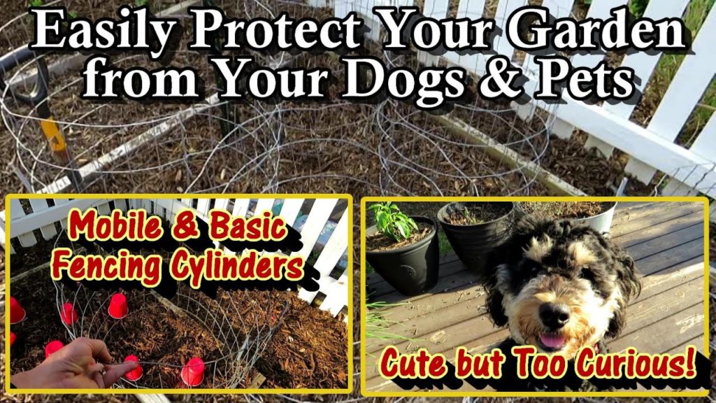 Gary Pilarchik: How to Protect Your Garden from Dogs & Other Animals: Manage Down Damage with Simple Fence Cylinders How to Protect Your Garden from Dogs & Other Animals: Manage Down Damage with Simple Fence Cylinders