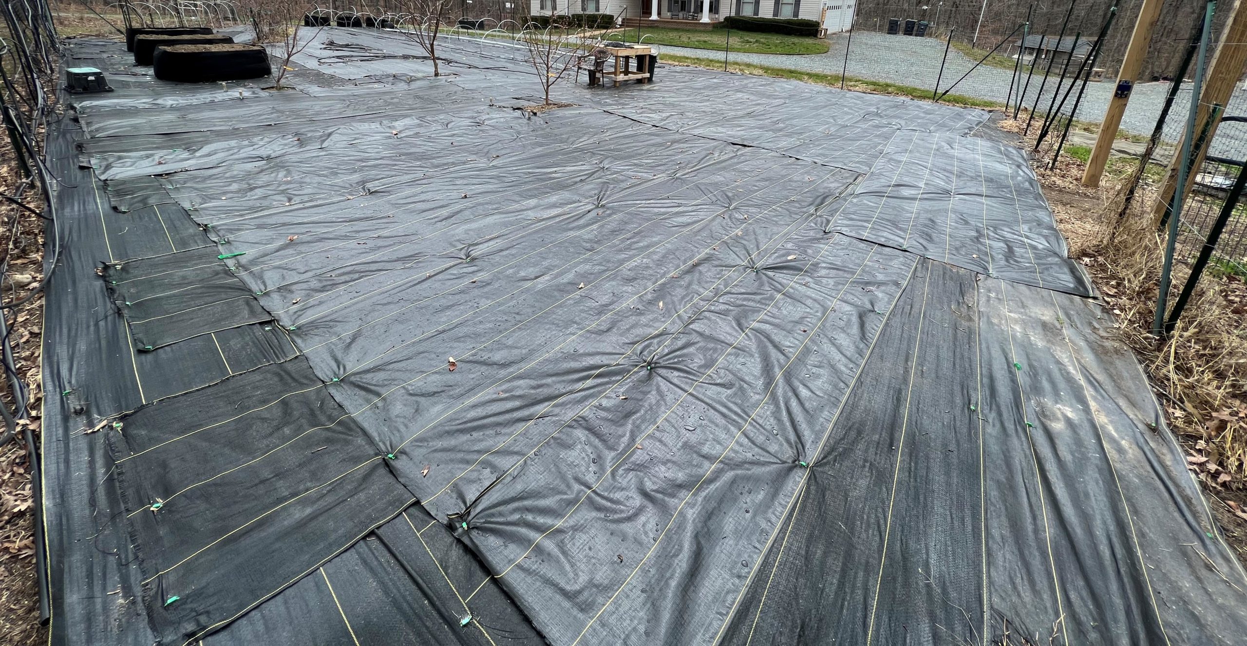 Vegetable Gardening 2,000 sqft of weed barrier All For Gardening