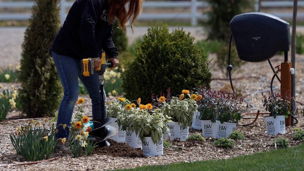 Garden Answer: Two New Perennials for 2023: Heliopsis & Agastache! ๐๐ฟ๐ // Garden Answer Two New Perennials for 2023: Heliopsis & Agastache! ๐๐ฟ๐ // Garden Answer