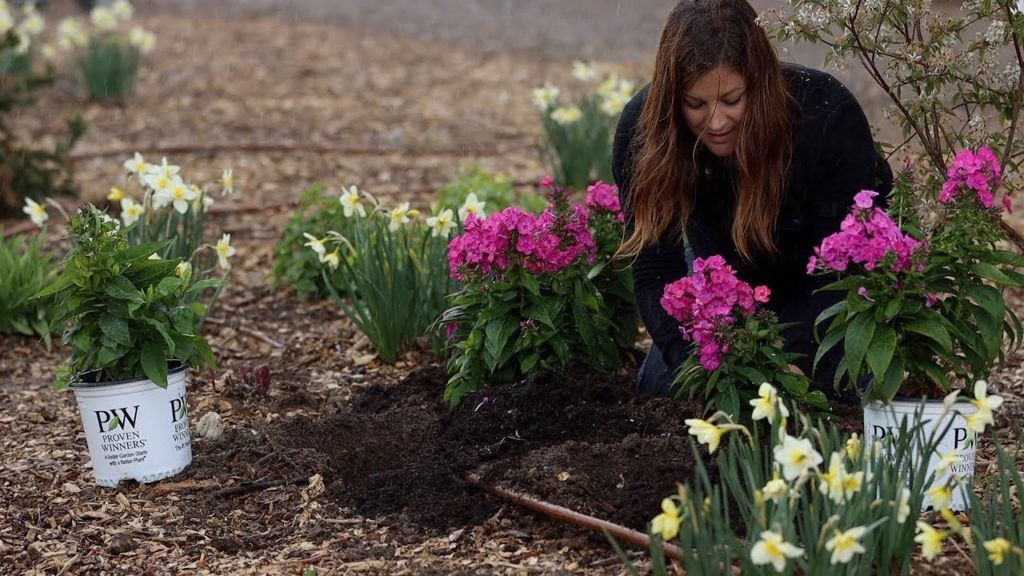 Garden Answer: Planting New Varieties of Monarda/Phlox in the RAIN! 💦 + Amaranth Seeds! 🌿💚🌸 Planting New Varieties of Monarda/Phlox in the RAIN! 💦 + Amaranth Seeds! 🌿💚🌸