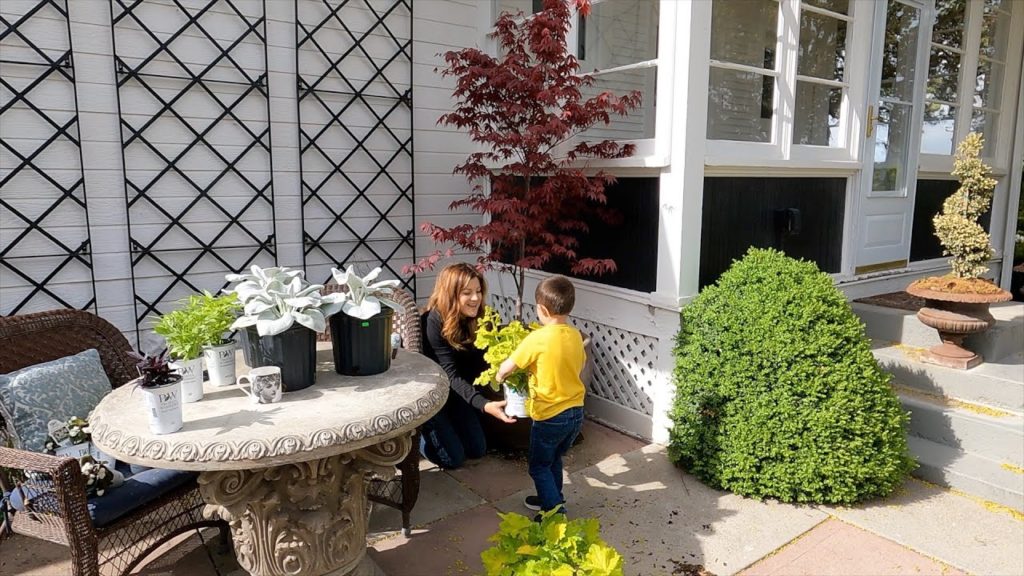 Garden Answer: Planting a Japanese Maple in a Pot (+ Tips on Growing Trees in Containers)! ๐๐ณ๐ // Garden Answer Planting a Japanese Maple in a Pot (+ Tips on Growing Trees in Containers)! ๐๐ณ๐ // Garden Answer