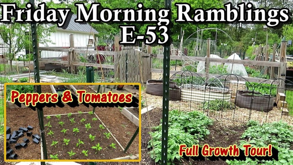 Tomatoes, Peppers, & Eggplant are In, Cool Crops Matured, Full Tour: FM Gardening Ramblings E-53