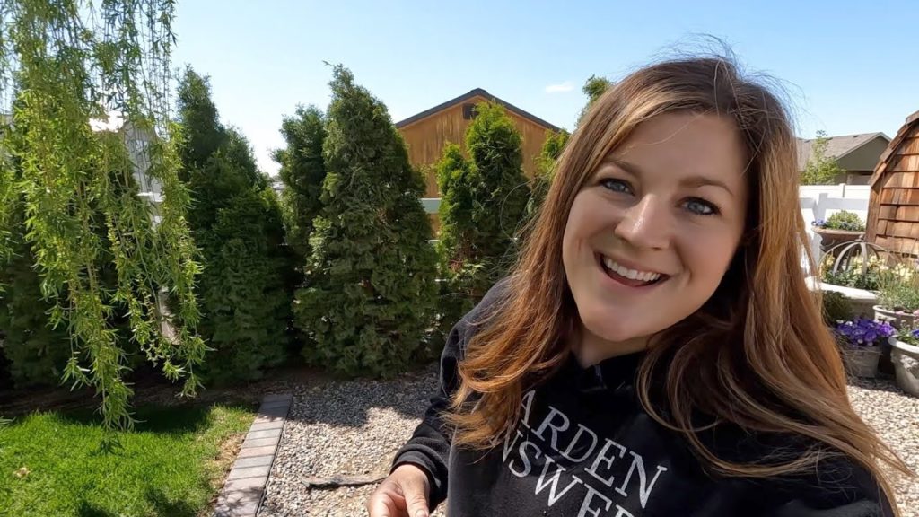 Garden Answer: Dahlia Inventory & Replacing a few North Pole Arborvitae! 🌸🌲💚 // Garden Answer Dahlia Inventory & Replacing a few North Pole Arborvitae! 🌸🌲💚 // Garden Answer