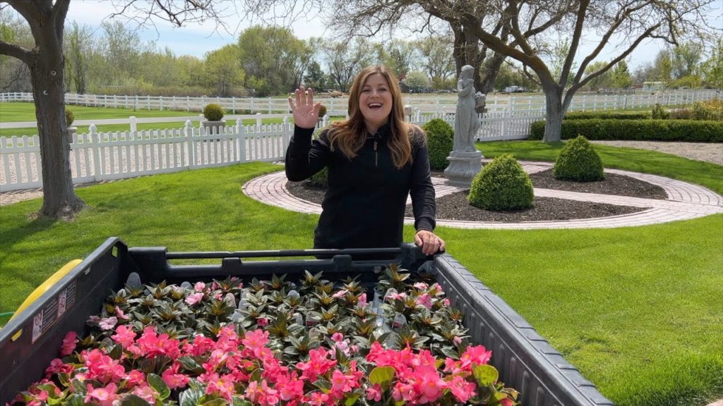 Garden Answer: Planting Begonias & Impatiens! 🌿💚🌸 // Garden Answer Planting Begonias & Impatiens! 🌿💚🌸 // Garden Answer