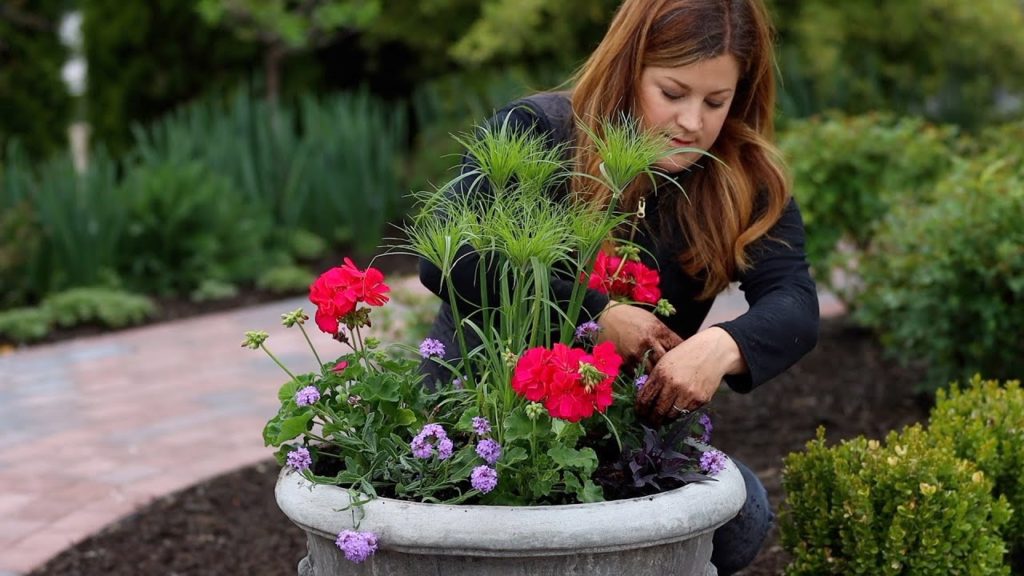 Garden Answer: Planting Full Sun Summer Containers! 🌸🌿💜 // Garden Answer Planting Full Sun Summer Containers! 🌸🌿💜 // Garden Answer