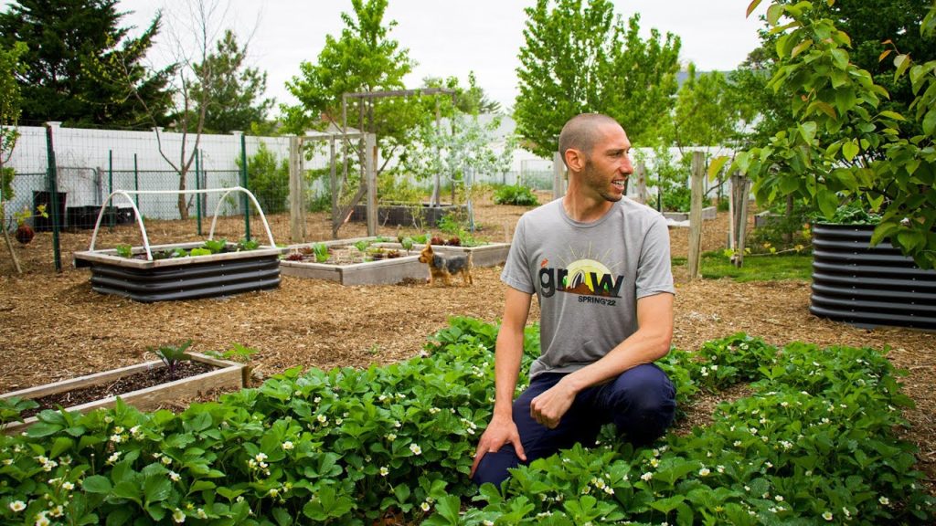 New Jersey Backyard Garden Tour