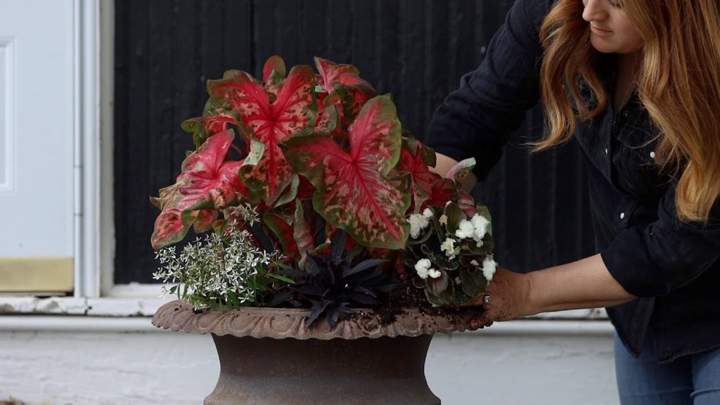 Garden Answer: Planting the Barn & Shade Porch Pots! 💚🙌🌿 // Garden Answer Planting the Barn & Shade Porch Pots! 💚🙌🌿 // Garden Answer