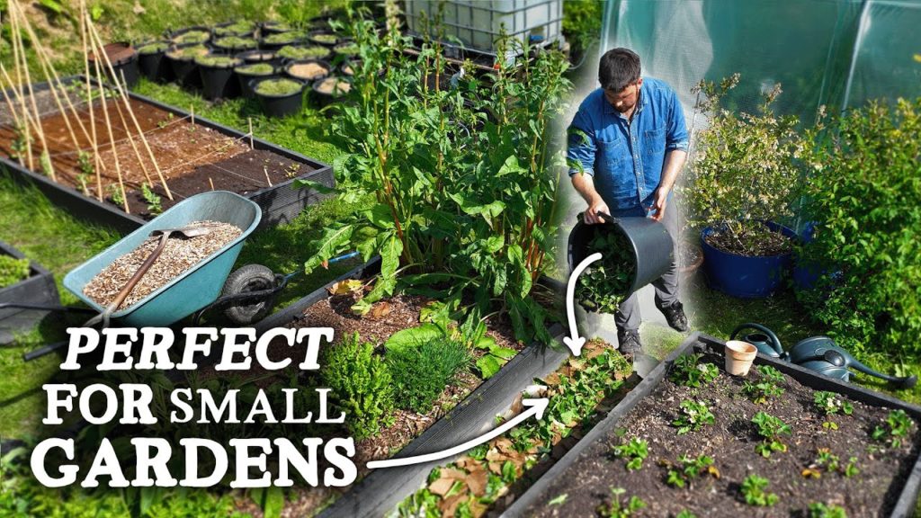 Huw Richards: Make Compost from Your Garden Pathways | No Compost Bins Needed! Make Compost from Your Garden Pathways | No Compost Bins Needed!