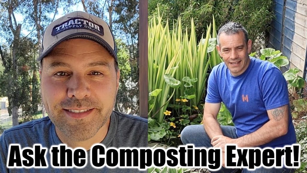 I ask the Compost Expert Your Questions!