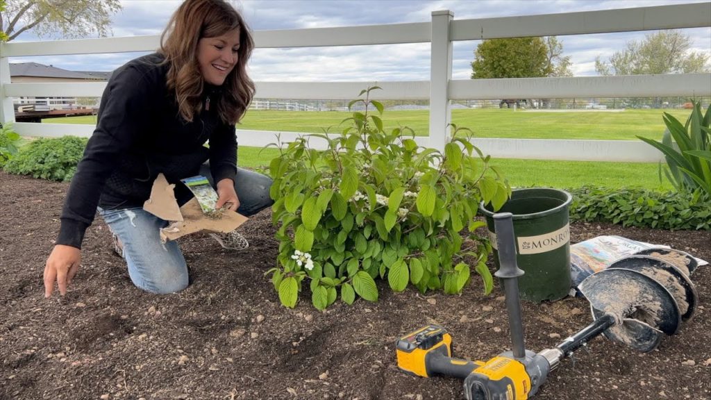Planting 2 Evergreens & 2 Viburnums! 🌲🌿💚 // Garden Answer