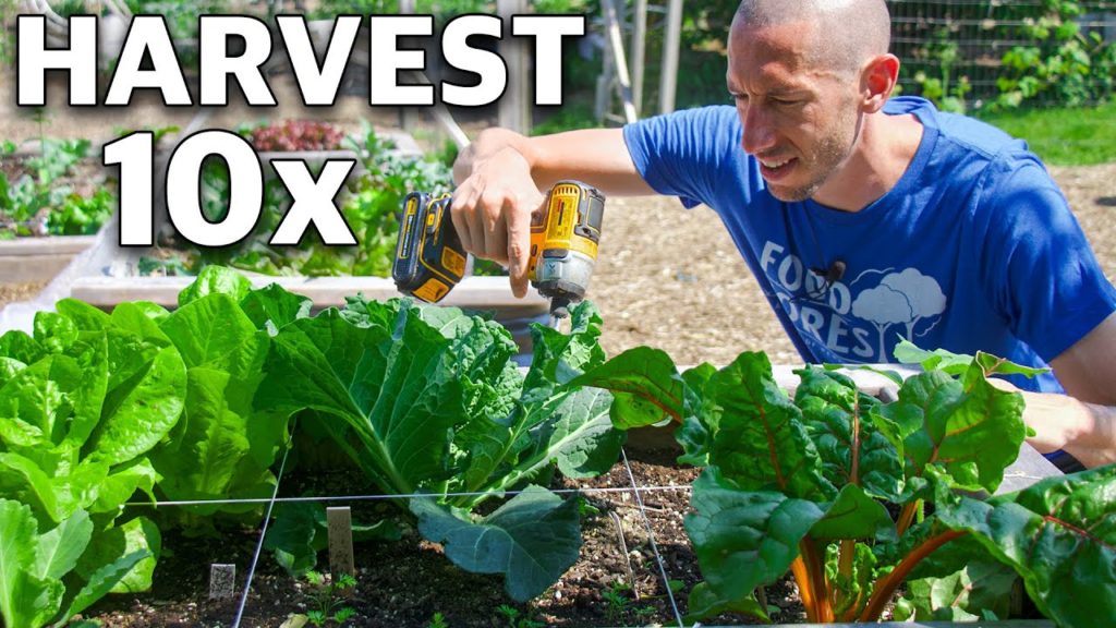 James Prigioni: 7 Brilliant Methods to Grow TONS of Food in a TINY Garden 7 Brilliant Methods to Grow TONS of Food in a TINY Garden
