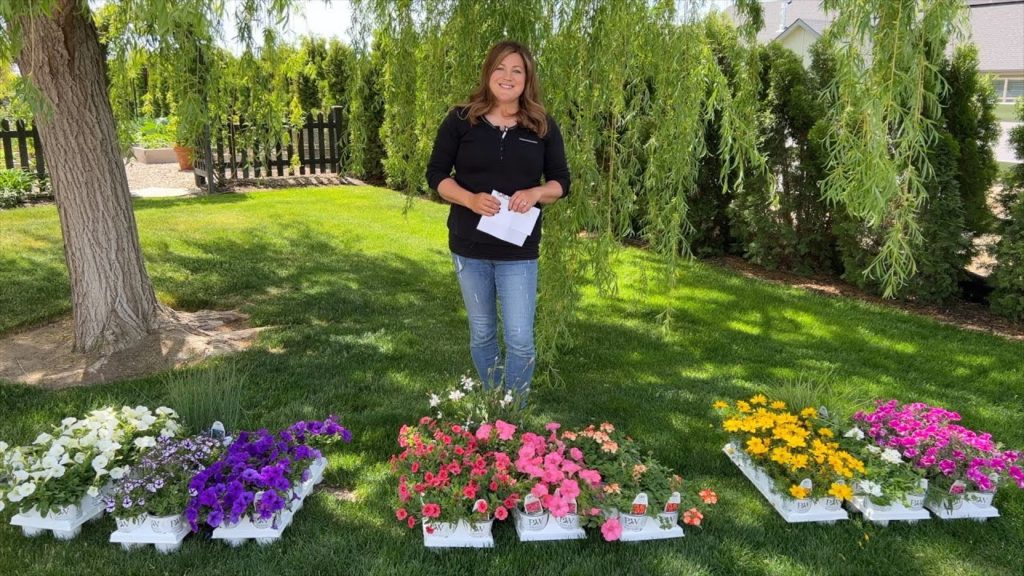 Garden Answer: Planting 2023 Container Recipes! 🌿🌸 // Garden Answer Planting 2023 Container Recipes! 🌿🌸 // Garden Answer
