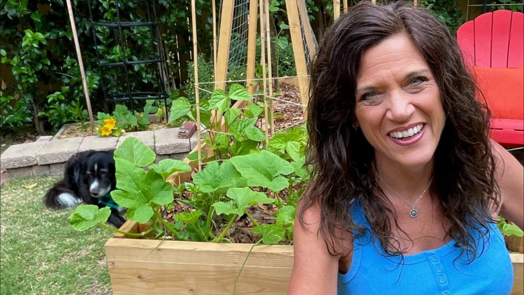 🍅LIVE: My Summer Vegetable Garden Fertilizing Routine (REPLAY)