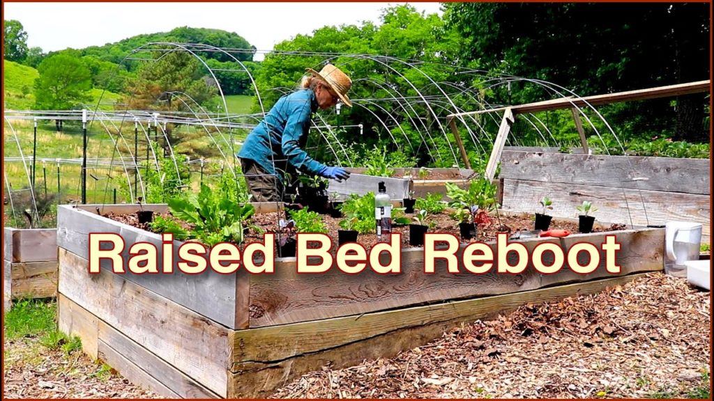 Kaye Kittrell: Expect THIS if you LIVE in TENNESSEE! Plans derail but I made the best of it! Expect THIS if you LIVE in TENNESSEE! Plans derail but I made the best of it!