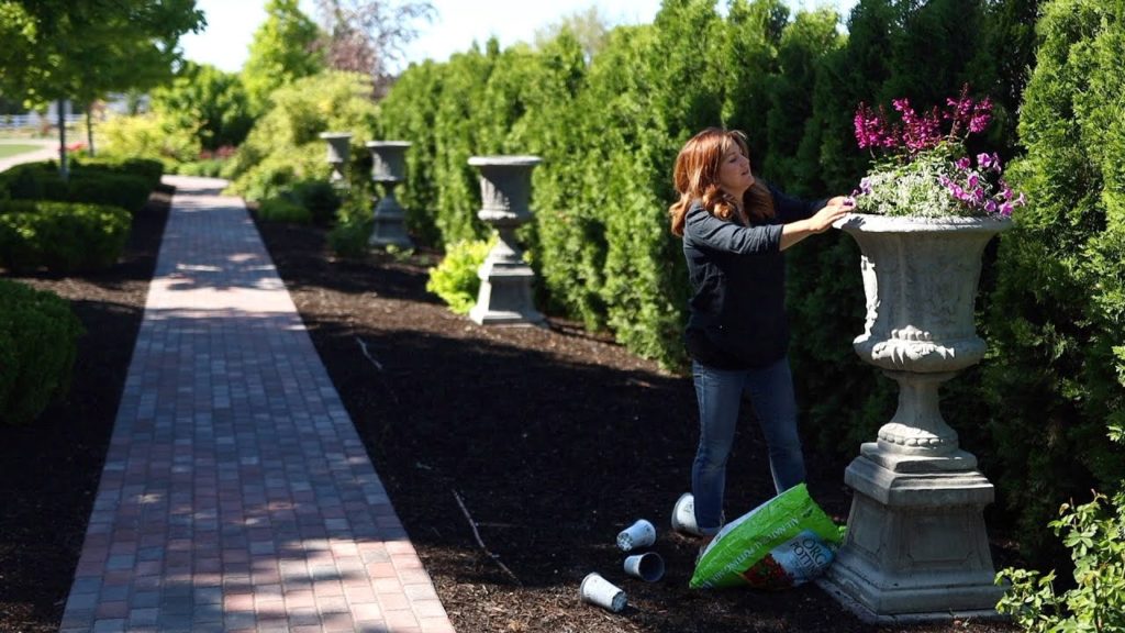 Planting a Gorgeous Full Sun Container Arrangement! 💗🌸🥰 // Garden Answer