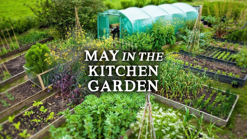 Huw Richards: Abundant Permaculture Kitchen Garden Tour | NO DIG Gardening in May Abundant Permaculture Kitchen Garden Tour | NO DIG Gardening in May