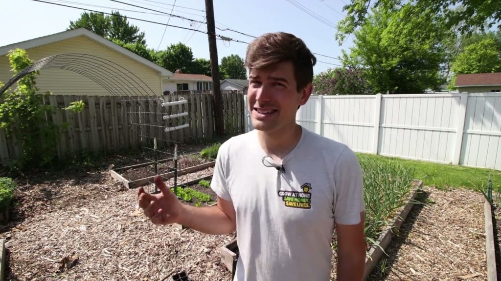 MIgardener: How to Tell When It's “Too Late” To Start A Garden How to Tell When It's “Too Late” To Start A Garden