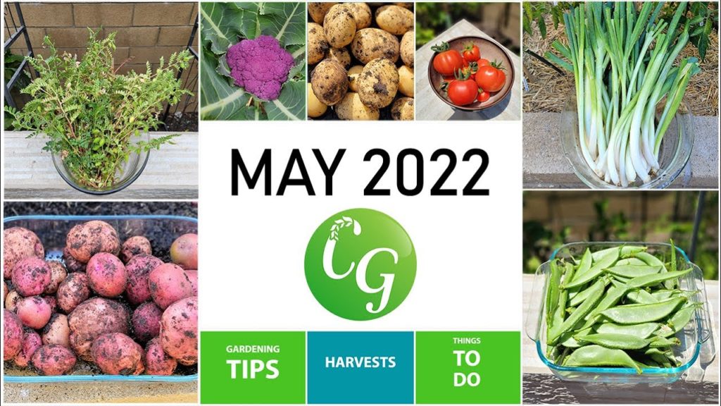 California Gardening: 6 Tips for Preparing Your Garden for June – A California Gardening May Episode 6 Tips for Preparing Your Garden for June - A California Gardening May Episode