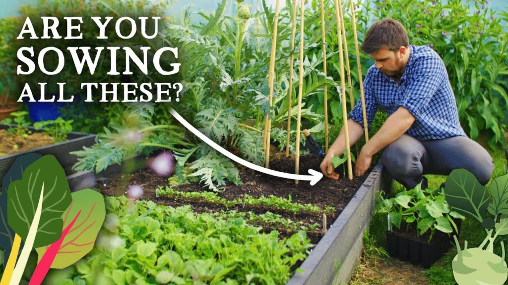 Huw Richards: 15 Must-Sow Vegetables and Herbs in June 15 Must-Sow Vegetables and Herbs in June