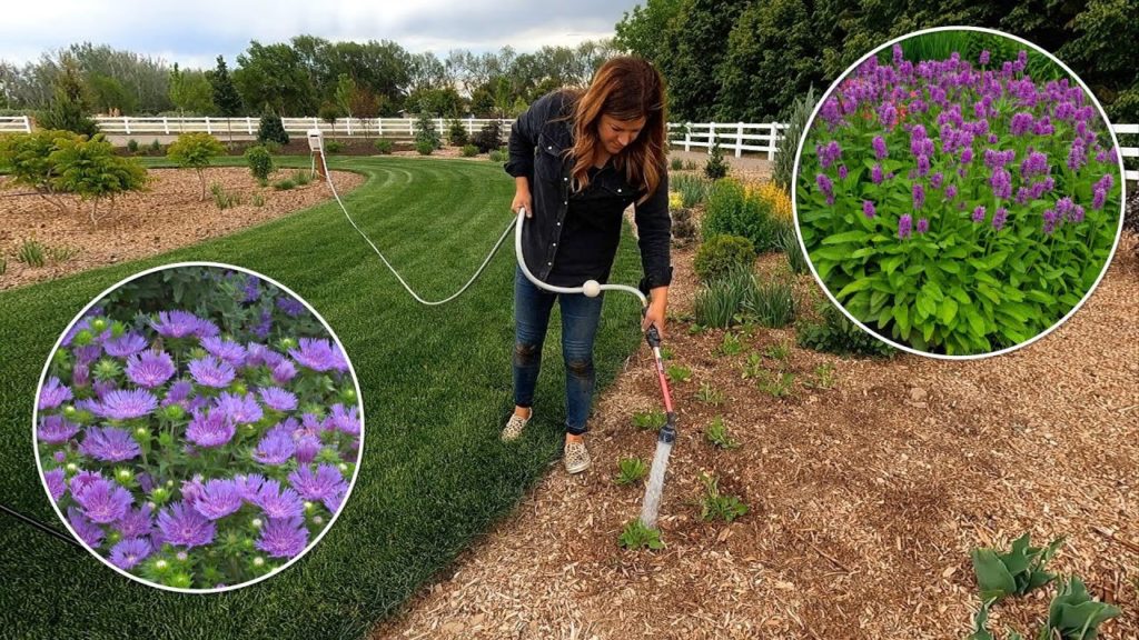 Garden Answer: Planting a Bunch of Perennials & a Few Dahlias! 😁💜🌿 // Garden Answer Planting a Bunch of Perennials & a Few Dahlias! 😁💜🌿 // Garden Answer