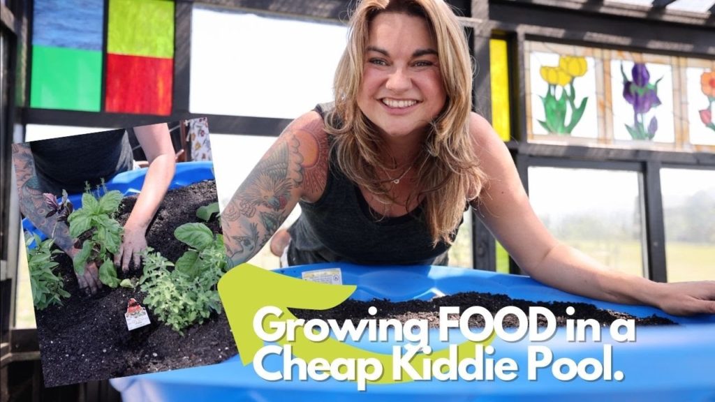 The KIDDIE POOL Garden (How to have the best success!)