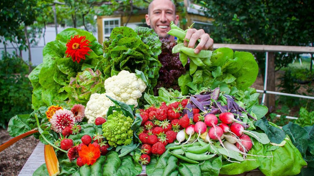 James Prigioni: Massive Spring Garden Harvest 2022, Backyard Organic Gardening Massive Spring Garden Harvest 2022, Backyard Organic Gardening