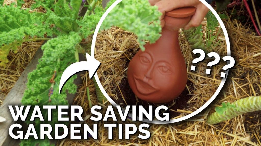 Epic Gardening: 6 Clever Ways to Water Your Garden In a Drought 6 Clever Ways to Water Your Garden In a Drought
