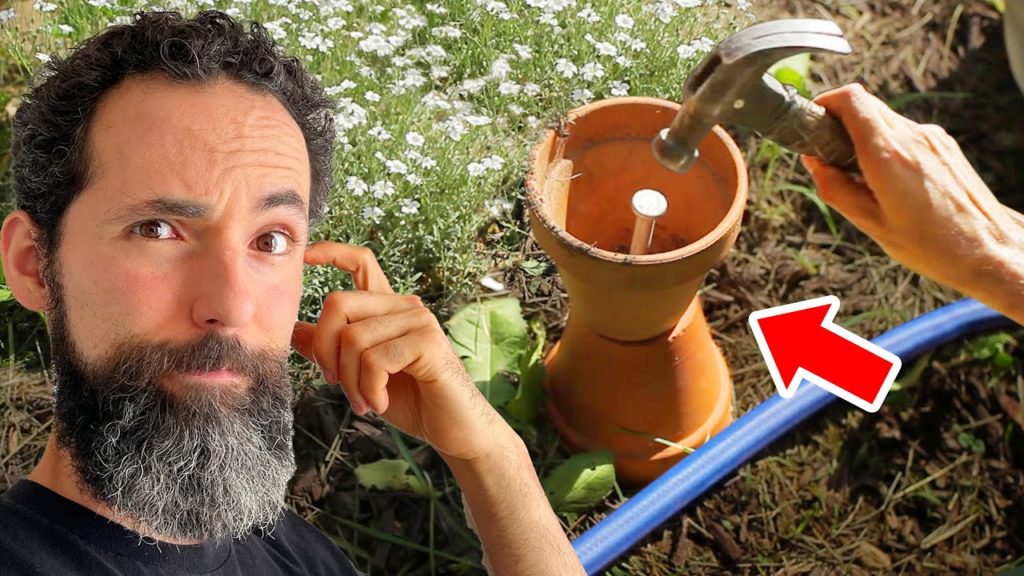Siloé Oliveira: 9 GARDENING HACKS That Actually Work 9 GARDENING HACKS That Actually Work