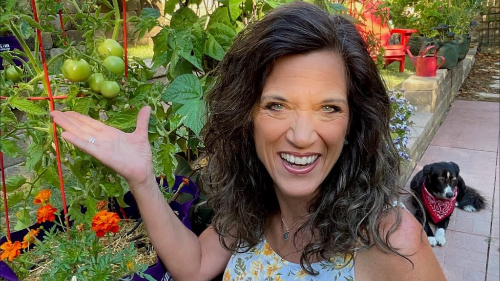 🍅LIVE: 5 Summer Tomato Problems and How to Fix Them (REPLAY)