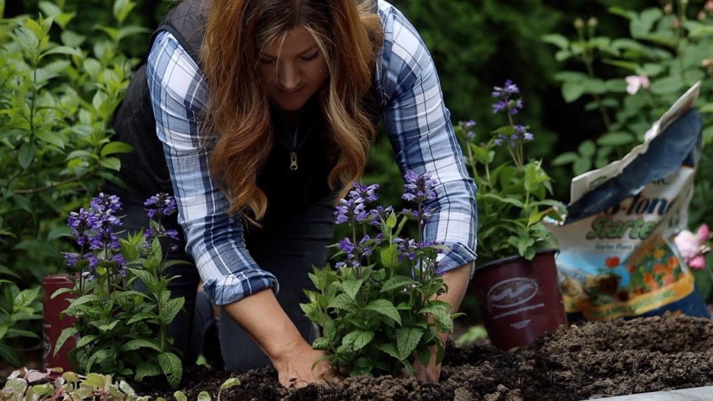 Garden Answer: Planting Powerhouse Perennials: 4 Varieties of Nepeta & 1 Coreopsis! 💪🌸🌿 // Garden Answer Planting Powerhouse Perennials: 4 Varieties of Nepeta & 1 Coreopsis! 💪🌸🌿 // Garden Answer