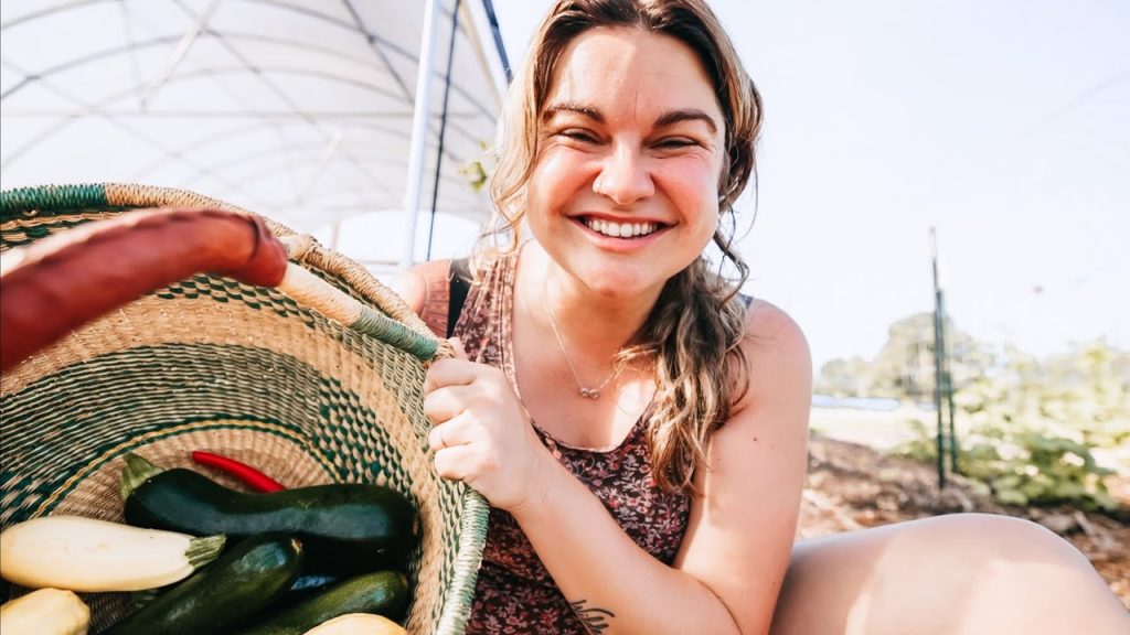 Roots and Refuge Farm: Harvesting Tips (and getting to the bottom of contaminated soil) | VLOG Harvesting Tips (and getting to the bottom of contaminated soil) | VLOG