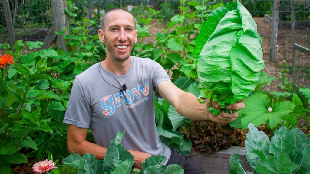 James Prigioni: Full Garden Tour and Harvest, This is Why Your Baby Squash Keep Dying… Full Garden Tour and Harvest, This is Why Your Baby Squash Keep Dying…