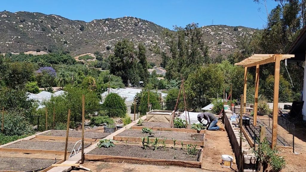 California Garden TV: Installing Drip Tape in the New Vegetable Garden Installing Drip Tape in the New Vegetable Garden