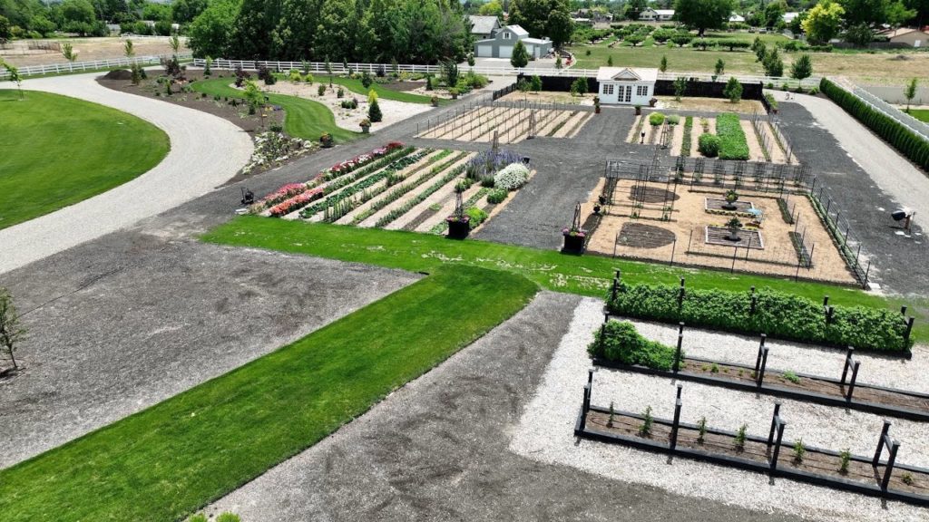 Garden Answer: June Tour of Our South Garden! It's Coming Together Quickly! 🌸👍 // Garden Answer June Tour of Our South Garden! It's Coming Together Quickly! 🌸👍 // Garden Answer