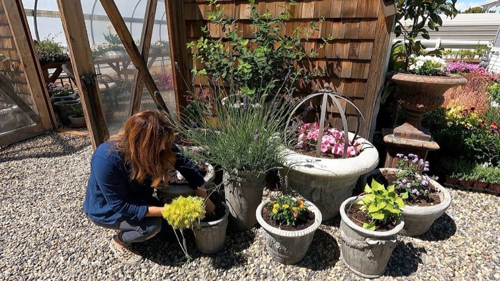Garden Answer: Planting Containers, Dealing with Spider Mites & One Plant Per Pot Project! 🌸🕷🌿 // Garden Answer Planting Containers, Dealing with Spider Mites & One Plant Per Pot Project! 🌸🕷🌿 // Garden Answer