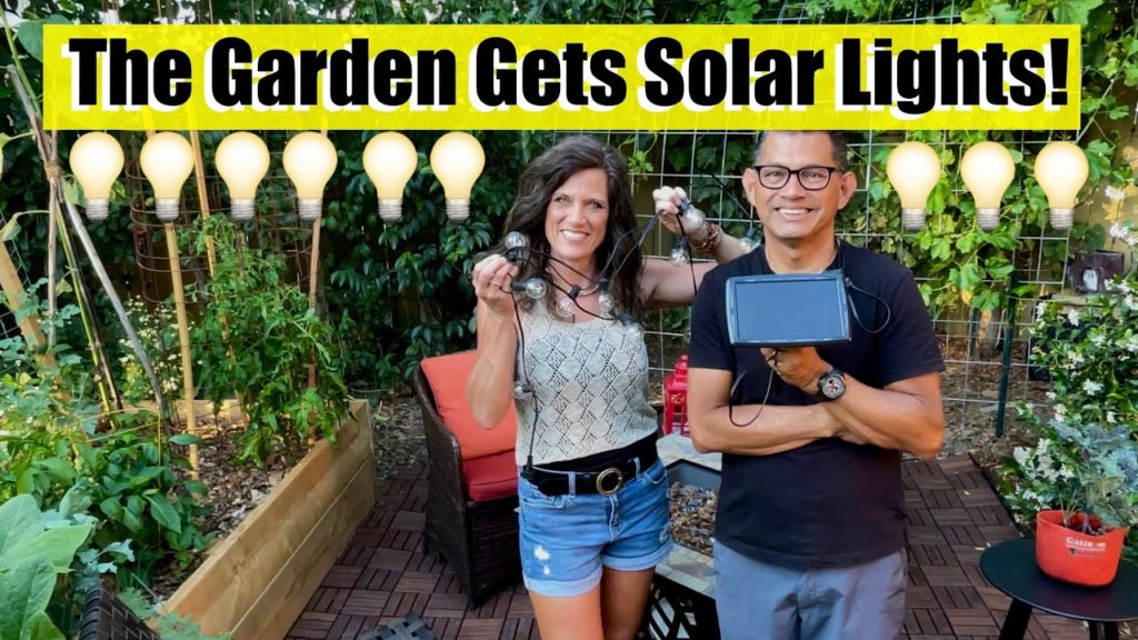 The Garden Gets Solar Lights! 🌱💡