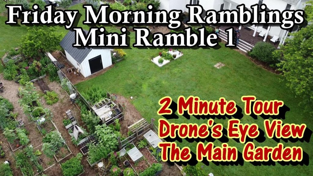 Gary Pilarchik: A Quick Drone's Eye View of My Main Vegetable Garden & 2 Minute Tour: Mini Rambling E-1 A Quick Drone's Eye View of My Main Vegetable Garden & 2 Minute Tour: Mini Rambling E-1