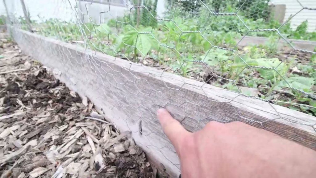 How to Use Chicken Wire to Rabbit Proof a Raised Bed